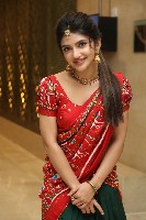 Sreeleela Half Saree Photos